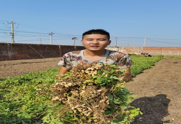 图片1.jpg 图片1.jpg